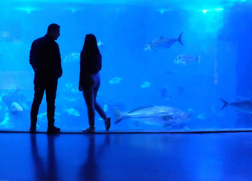 aquariums